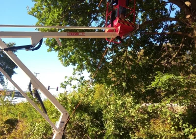 Baumpflege aus dem Korb einer Hubarbeitsbühne in einer Baumkrone – TH Objekt Service & Dienstleistungen GmbH, Delmenhorst