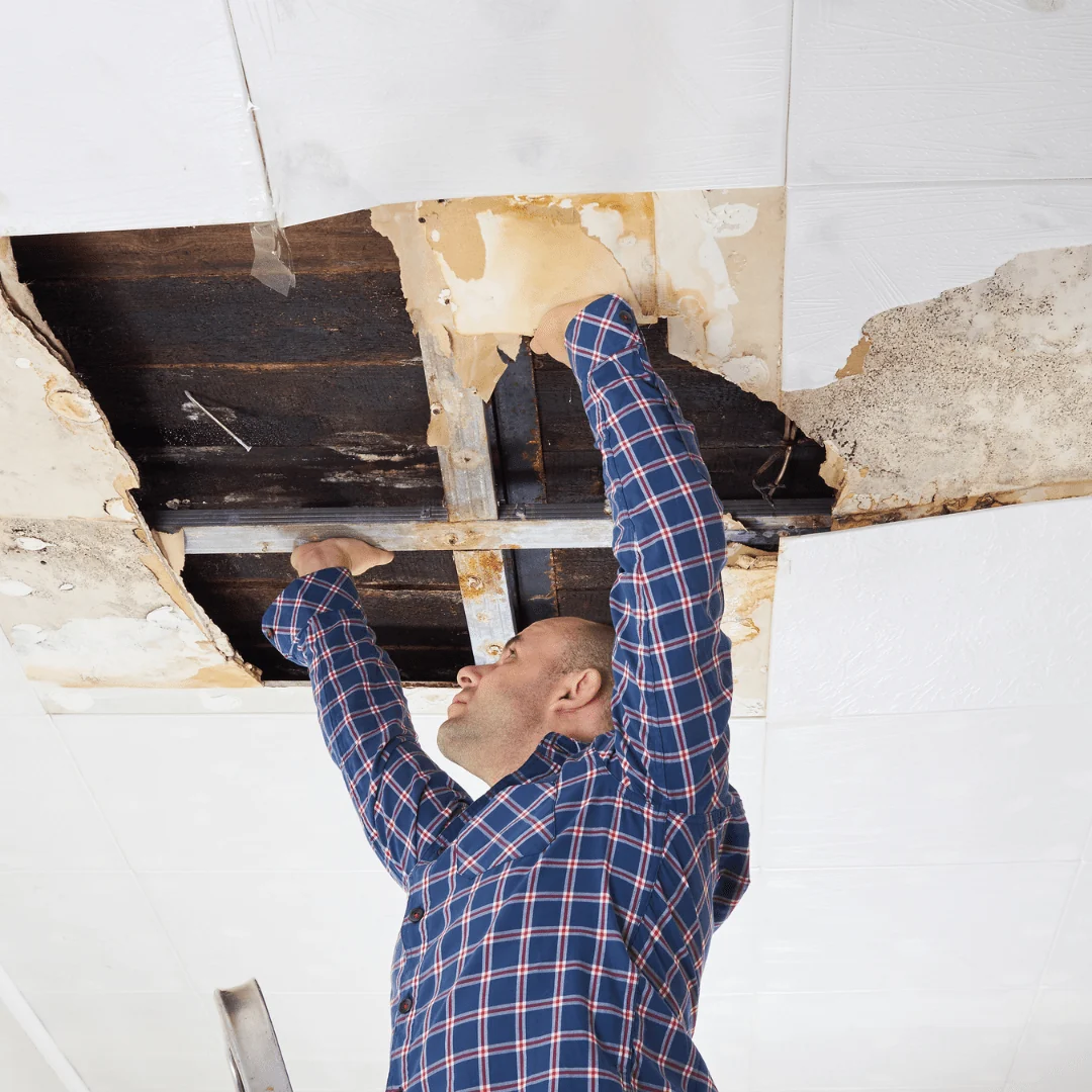 Handwerker öffnet eine durch Wasser beschädigte Zimmerdecke – TH Objekt Service & Dienstleistungen GmbH, Delmenhorst